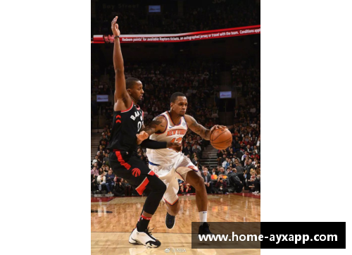 NBA邦加：篮球艺术的极致探索